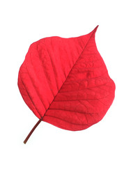 Similar image 22378654