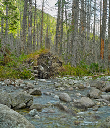 Similar image 22377934