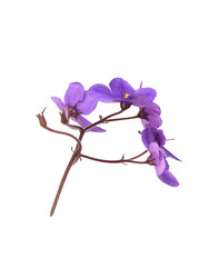 Similar image 22377947