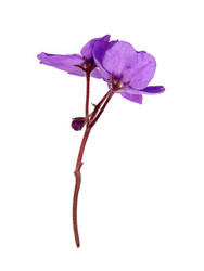 Similar image 22377980