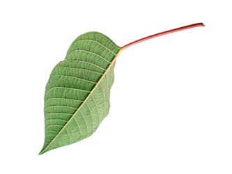 Similar image 22377981