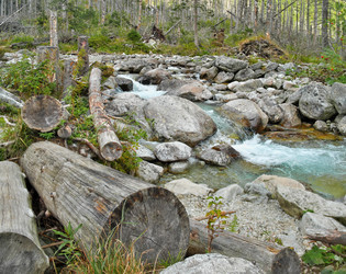 Similar image 22378039