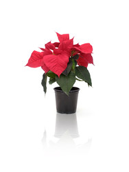 Similar image 22378053