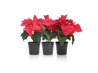 Similar image 22378130