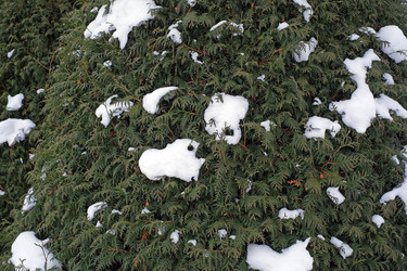 Similar image 22378202