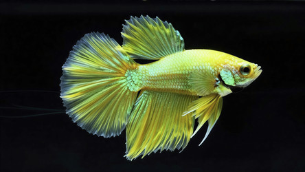 Similar image 22375790