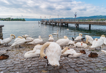 Similar image 22373561