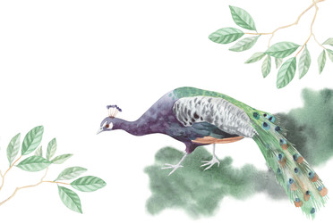 Similar image 22375892