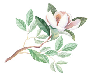 Similar image 22375893