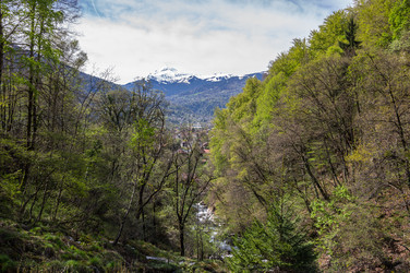 Similar image 22373680