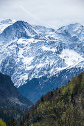 Similar image 22373703