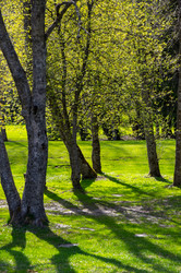 Similar image 22373704