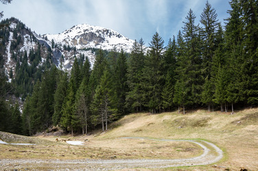 Similar image 22373705