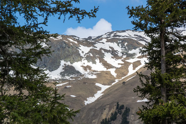 Similar image 22373707