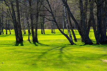 Similar image 22373710