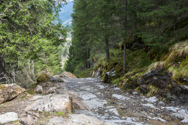 Similar image 22373714