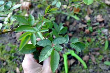 Similar image 22375897