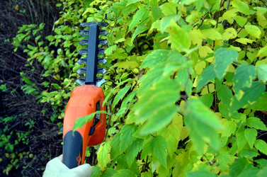 Similar image 22375907