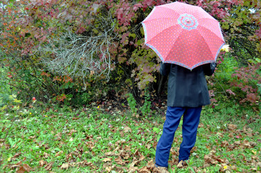 Similar image 22375908