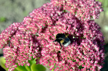 Similar image 22375909