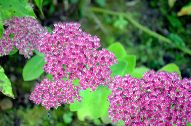 Similar image 22375910