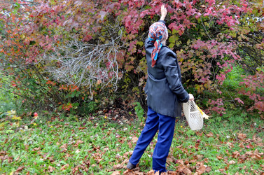 Similar image 22375911