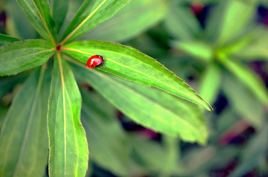 Similar image 22375912