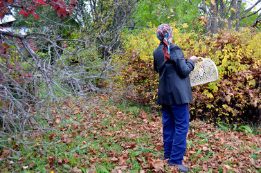 Similar image 22375913