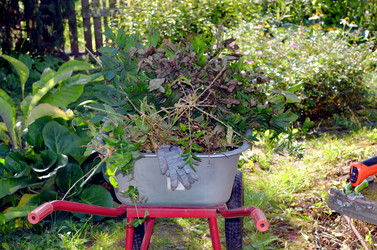 Similar image 22375914