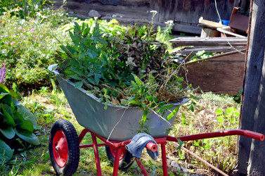 Similar image 22375915