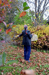 Similar image 22375916