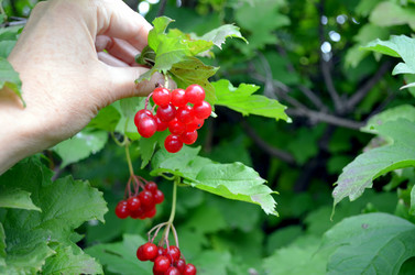 Similar image 22375917