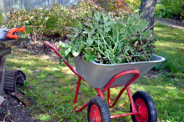 Similar image 22375920