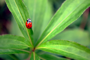 Similar image 22375921