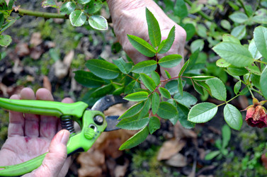 Similar image 22375923