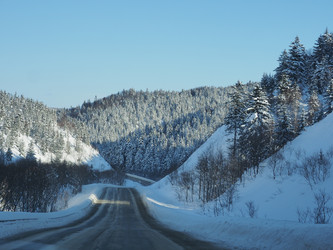 Similar image 22375812