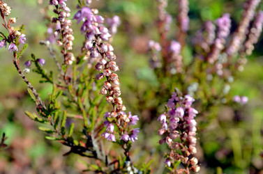 Similar image 22375930