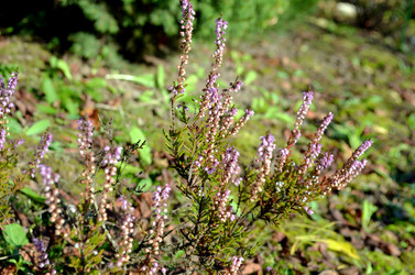 Similar image 22375931