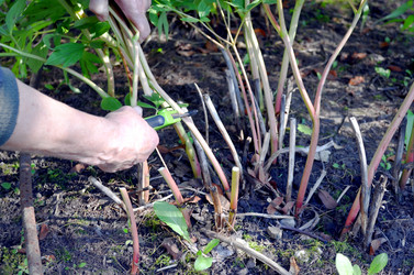 Similar image 22375933