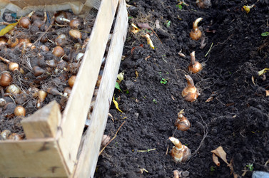 Similar image 22375936