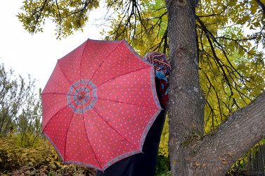 Similar image 22375937