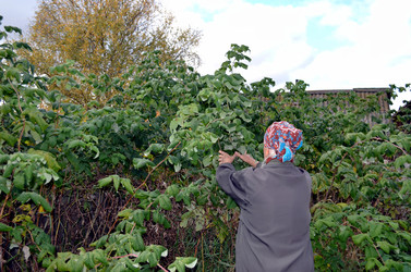 Similar image 22375938