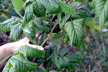 Similar image 22375939