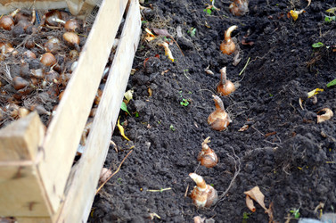 Similar image 22375940