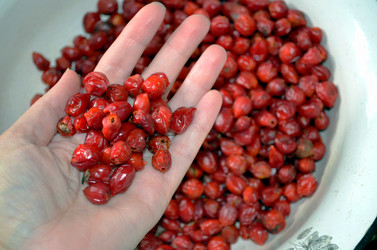 Similar image 22375946