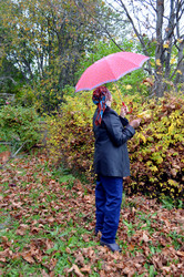 Similar image 22375947