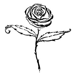 Similar image 22378669