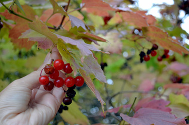 Similar image 22375898