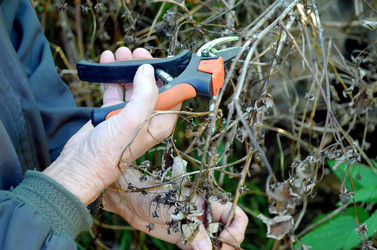 Similar image 22375899