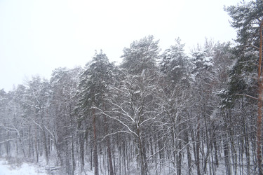 Similar image 22375477